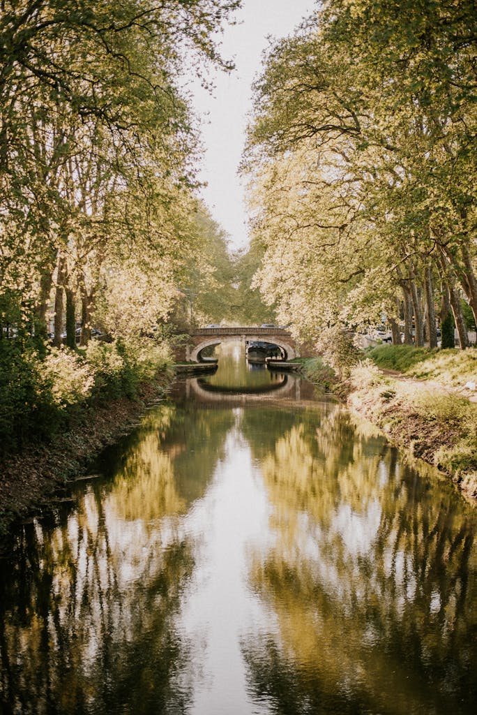 Serene view of Canal du Midi with autumn trees reflected in water, Toulouse, France.