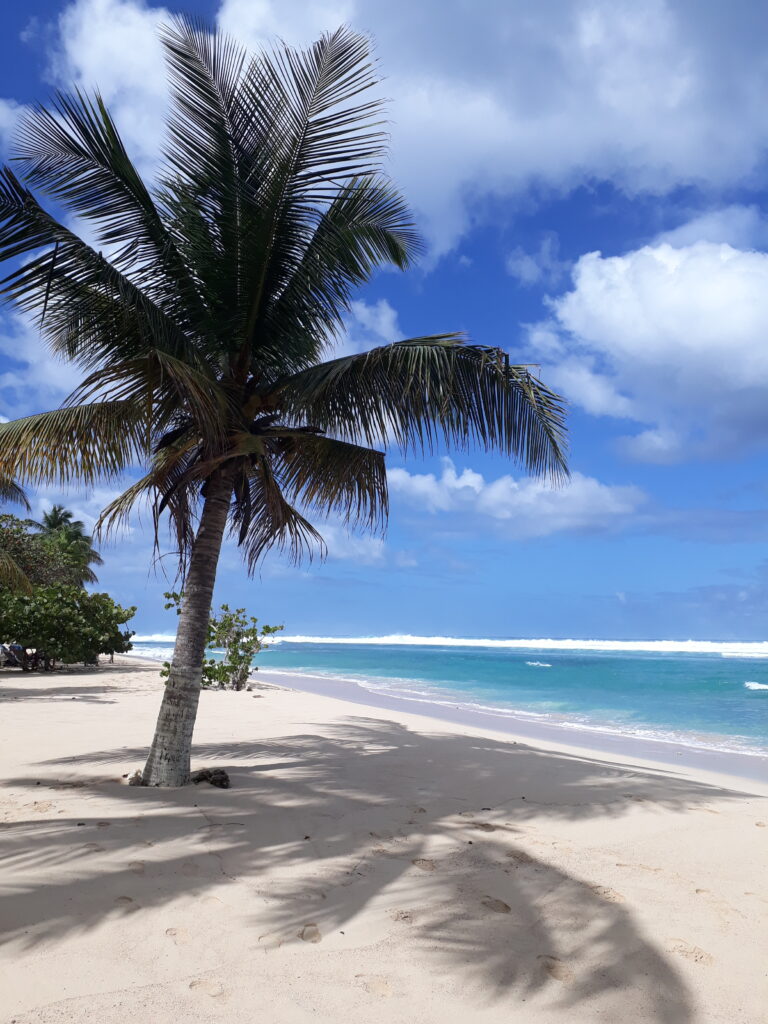 Plage Gaudeloupe